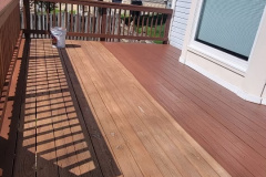Caz Paintz Deck Laurel MD